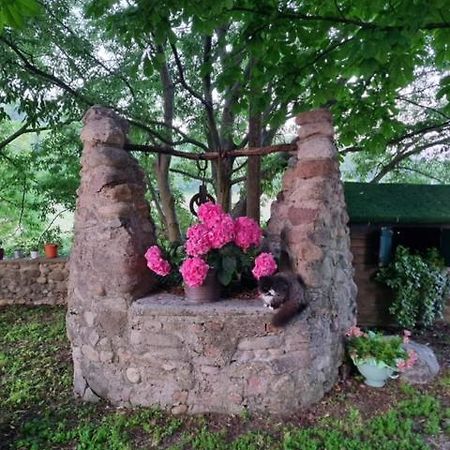 Agriturismo Case In Collina Volta Mantovana Extérieur photo